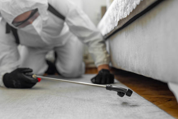 Professional Termite Control technician working in Springs, NY